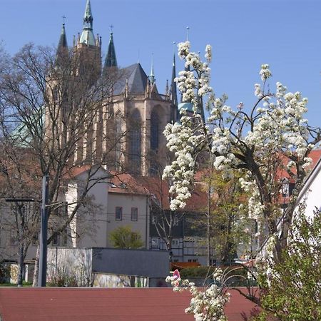 Hotelpension Am Dom Ерфурт Екстериор снимка