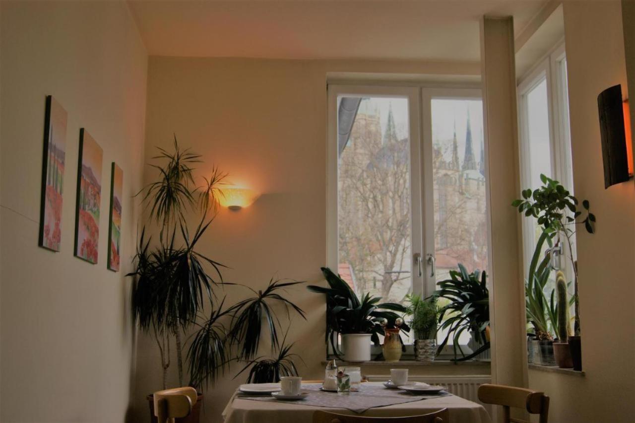 Hotelpension Am Dom Ерфурт Екстериор снимка