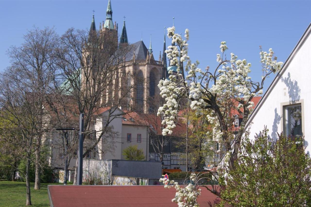 Hotelpension Am Dom Ерфурт Екстериор снимка